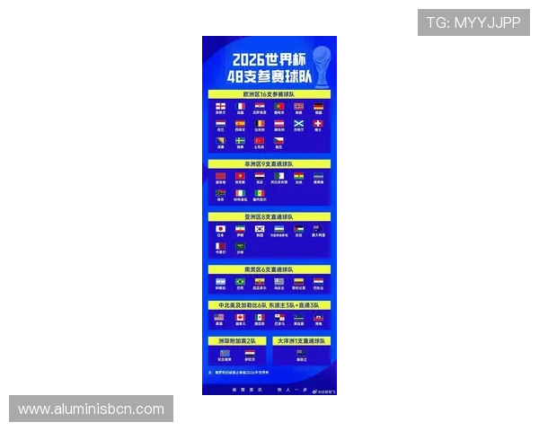 2026年世界杯在哪些国家举行，详细介绍各国申办过程和结果
