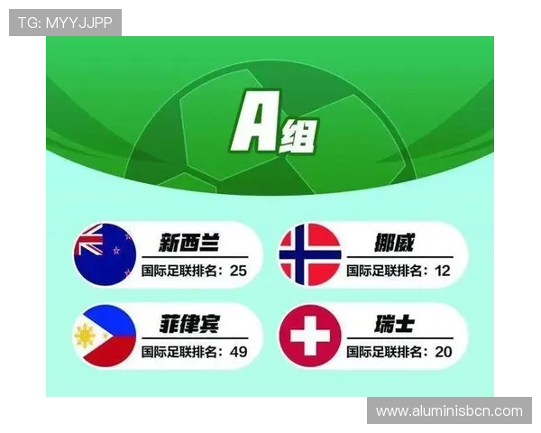 世界杯新西兰埃及官方购票指南：详细流程与注意事项全解析